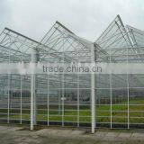 Modern Apperance Hot Dip Galvanized Steel Structure Glass Covering Greenhouse thumbnail-1