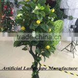 SJ10#180762 indoor artificial lemon tree bonsai ,2015 new arrival and high simulation tree GuangZhou