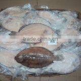 Frozen Flounder thumbnail-2