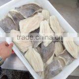 Frozen John Dory Fillet Zeus Faber Fillet 150-200g thumbnail-2