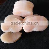 Frozen Sea Scallop in Good Quality no Chemical Treated thumbnail-3