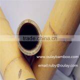 50cm Moso Bamboo Canes thumbnail-3