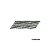 PP Nails thumbnail-1