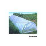 Sell Vegetable Greenhouse thumbnail-1