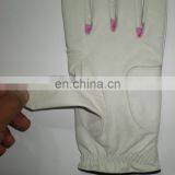 Golf Gloves thumbnail-4