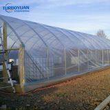 UV Protection 200 Micron PE Greenhouse Plastic Film thumbnail-5