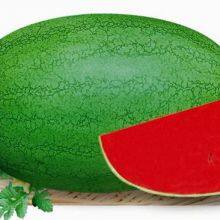 SHUANGXING f1 Big Hybrid Watermelon Seeds Outdoor Grown thumbnail-3