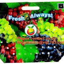 Slider Zipper Fruit Vegetable Bags, Customizable Stand Up With Handle Packing Bag, Fruits Storage Packaging thumbnail-4