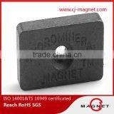 Permanent Strong Customized Ferrite Magnets for Motors With Holes thumbnail-4