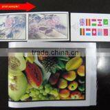 Automatic Flexo Fabric Label Printing Machine thumbnail-4