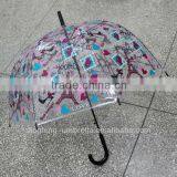 Charming Transparent Lace Silk Children Umbrella