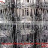 China Supplier Supplying Hot-dipped Galvanized Goat Wire Mesh Fence ZX-NLW011 Quality Choice