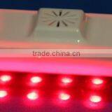 5 IN 1 Portable Slimming Machine Lipolaser Break the Fat Directly thumbnail-5