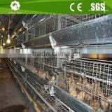 Poultry Farm Hot Dipped Galvanized Steel Pullet Chicken Cage