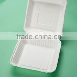 HL-99 9"x9" Japanese Sushi disposable food packaging box