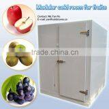 Modular Standard Cool Room for Fruits