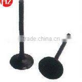 Toyota 2Z Engine Valve