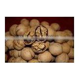 China Organic Walnuts in Shell or Kernel