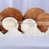 DESICCATED COCONUT HIGH FAT FINE GRADE - Premium Quality thumbnail-2