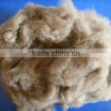 SPRING DISCOUNT!!! Lowest Price 100% Grey Camel Cashmere, 21-22.5mic&35-50mm, Natural Color thumbnail-1