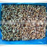 Material of Soup/iso Certification /china Frozen Food Mushroom thumbnail-3