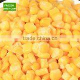 Grade A quality frozen IQF sweet corn kernel