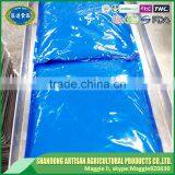 Perfect Quality and Price of IQF Quick Frozen Garlic Paste and Peeled Garlic Puree thumbnail-4