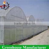 Portable Hobbie Greenhouse With Hydroponic Growing Systems thumbnail-5