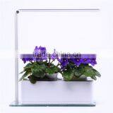 New Arrival Restaurant Oil Table Lamp thumbnail-1