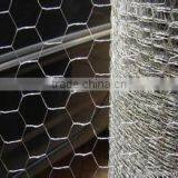Plastic Galvanized Stainless Steel Chicken Mesh