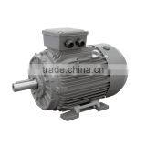 IE3 Standard Three Phase Cast Iron Motor With UL Approval thumbnail-1