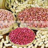 Peanut Red Skin Peeling Machiney/peeler/sorting Machine thumbnail-4