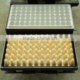 Best Quality Seed Tray Mould thumbnail-4