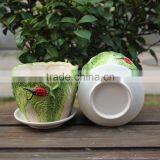 Attractive Cabbage Shape Ceramic Small Decorative Planters thumbnail-3