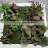 Durable and High Destiny Vertical Green Wall System Fake Plant Wall thumbnail-2