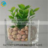 Square Decorative Glass Vase for Homedecoration thumbnail-6