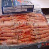 Frozen Pink Shrimp thumbnail-1