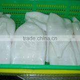 EU Standard Pacific Squid Tube thumbnail-6