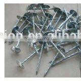 China Roofing Nails/roofing Nails Umbrella Head/roofing Nails Cheap Price thumbnail-4
