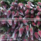 Plastic Rose Bud Wrap Netting thumbnail-1