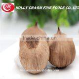 Fermented Garlic Make Health Body and Beauty Skin thumbnail-1