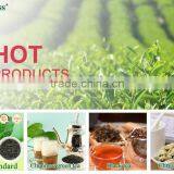 For Algeria Market- Special Chunmee Green Tea, Grade Special 41022 4A thumbnail-4