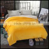 Winter Warm Soft High Quality Weight Flannel Blankets
