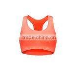 Fitness Compression Sports Bra Sports Crop Top/ Sport Bra Fitness thumbnail-4