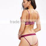 Runwaylover Hot Sale Sexy Wine Embroider Hot Bra Set thumbnail-2