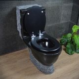 Shanxi Black Granite Bathroom Toilet Natural Stone Toilet