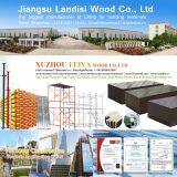 Jiangsu Landisi Wood Co., Ltd company overview - view 1 thumbnail