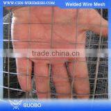 Right Choice!!! Powder Coated Welded Wire Mesh Sizes, Welded Rabbit Cage Wire Mesh