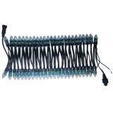 Indoor Decoration, Outdoor Lighting, Advertising Lamp String 12vws2811 Full Color Exposure Lamp, American Full Color Exposure Lamp thumbnail-3