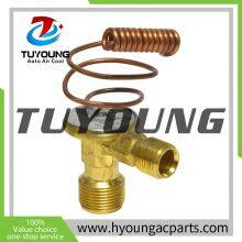 TUYOUNG China Supply Auto ac Expansion Valve for Chevrolet Geo Pontiac Toyota 155605 T39091 759091 thumbnail-1